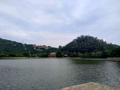 -顺峰山公园