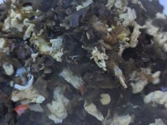 -黄牛肉馆·皖南土菜