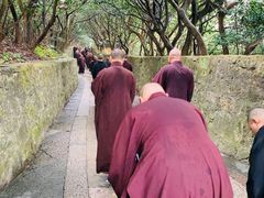 -普陀山风景区-佛顶山