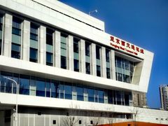 -望京西(地铁站)