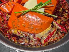 -蜀大侠火锅(总府路店)