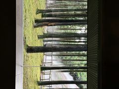 -玉苍山国家森林公园