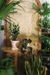 -芳香乐府疗愈空间·SPA·冥想