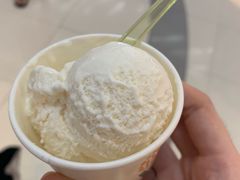椰子雪糕-芭克·闪冰(正佳广场店)