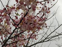 -白石龙音乐公园