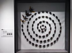 -酷嗒动物文化乐园(cutezoo西溪乐天城店)