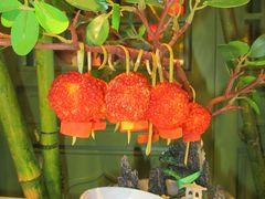 -奔跑吧陕菜·盛世长安(民乐园万达店)