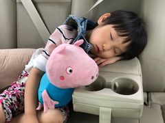 -枫香湖儿童公园