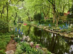 -上海共青森林公园