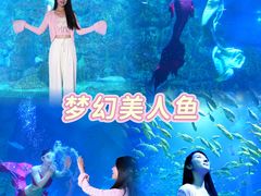 -威海华夏城景区