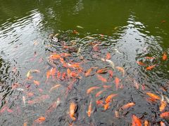 -滕王阁旅游区