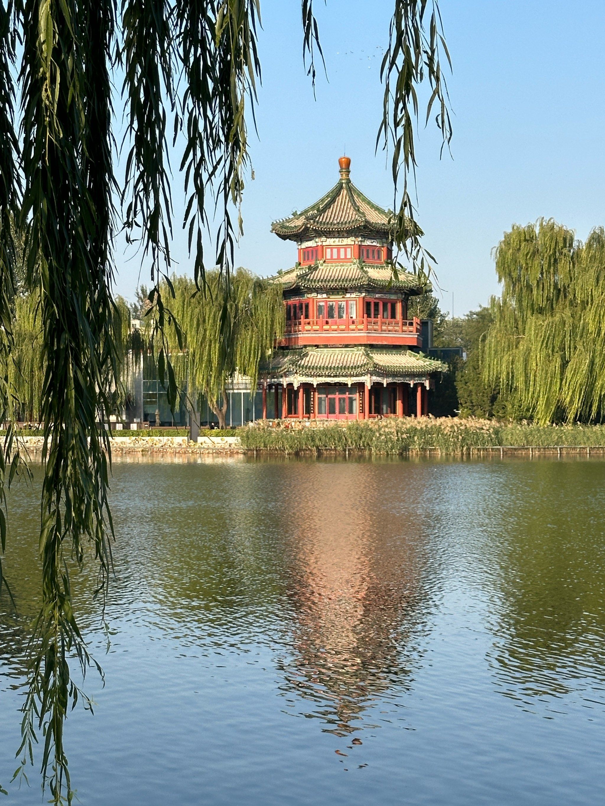 公园美景赏心悦