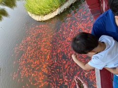 -西海子公园