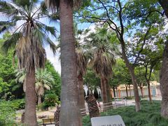 -苏州河梦清园环保主题公园