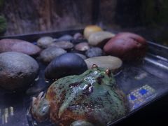 -重庆欢乐海底世界