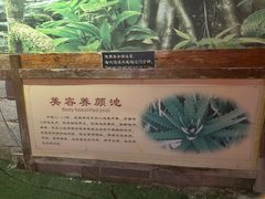 -华山御温泉度假村