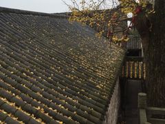 -金堂县云顶石城风景区