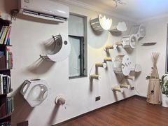 -楼上猫咖(罗湖店)