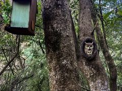 -石台牯牛降景区