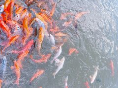 -春晖园度假酒店温泉