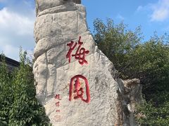 -梅园