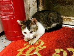 -兰边碗(鼓楼店)