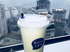 -一只酸奶牛(八一路店)