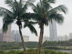 -万绿园