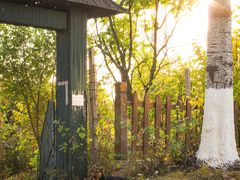 -荣德灶台鱼(圣泉寺店)