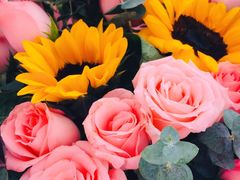 -古田会·肥肠鸡(古田店)