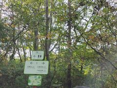 -玉渡山自然风景区