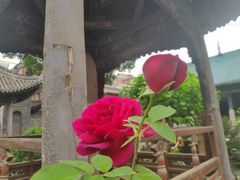 -大学习巷清真寺