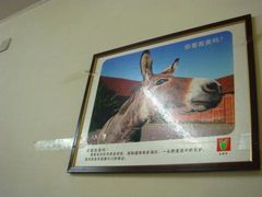 可怜的毛驴pic-王胖子驴肉火烧(鼓楼店)