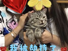 -中国石化江苏南京湖西街加油站