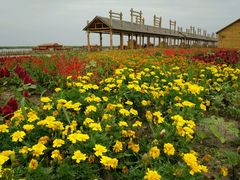 -红海滩国家风景廊道