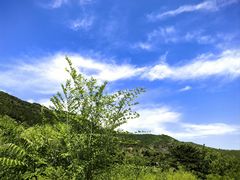 -北京西山国家森林公园