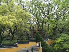 -普陀山风景名胜区-法雨禅寺
