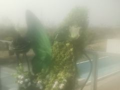 -宁波市保国寺古建筑博物馆