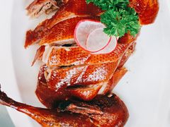 脆皮小乳鸭-圆苑(金茂店)
