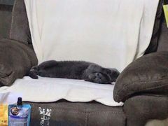 -冠群家居广场(会战大街店)