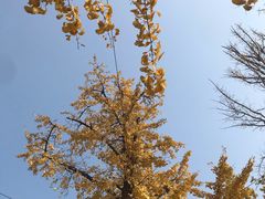 -百林公园-两江幸福广场