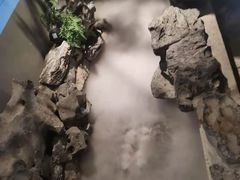 -贝勒爷·酥不腻烤鸭