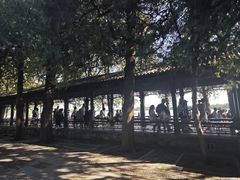 -宫事颐庭·老佛爷贵寿下午茶(颐和园店)