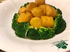 西蓝花豆腐-阿拉丁新疆风味餐厅·清真(罗廊巷店)