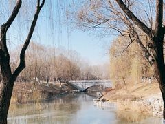 -大兴滨河森林公园