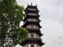 -黄贤森林公园