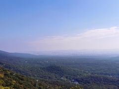 -紫金山山顶公园