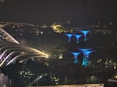 -新加坡瑞士史丹福酒店