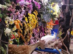 -正佳雨林生态植物园