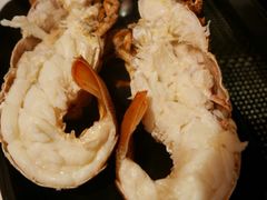 龙虾-鲜入围煮花胶鸡海鲜火锅